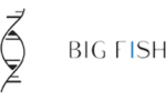 Big Fish